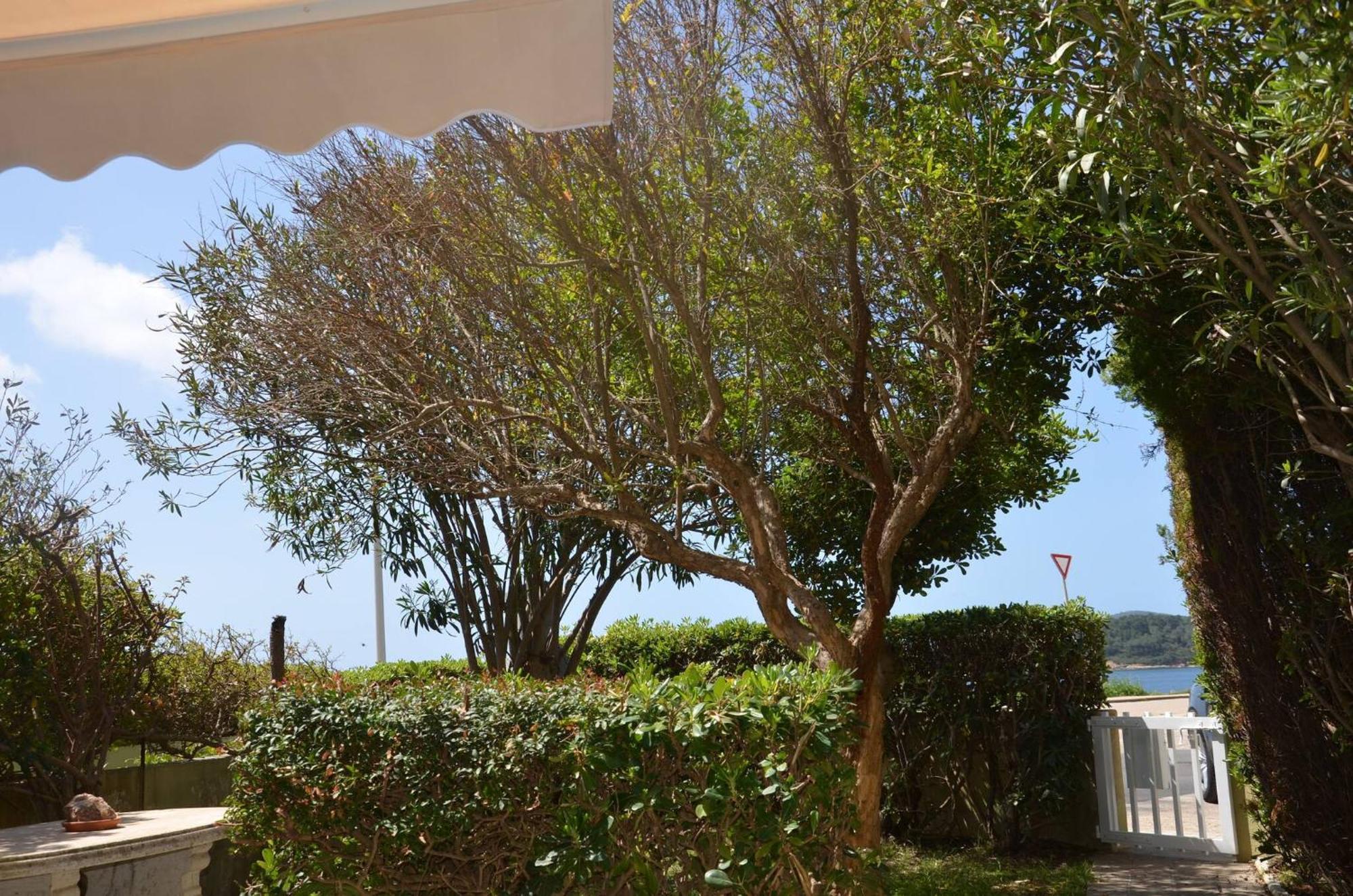 Fantastic Sardinia Villette Con Giardino Fronte Mare Fertilia Faho-Gav01-Gav02 エクステリア 写真