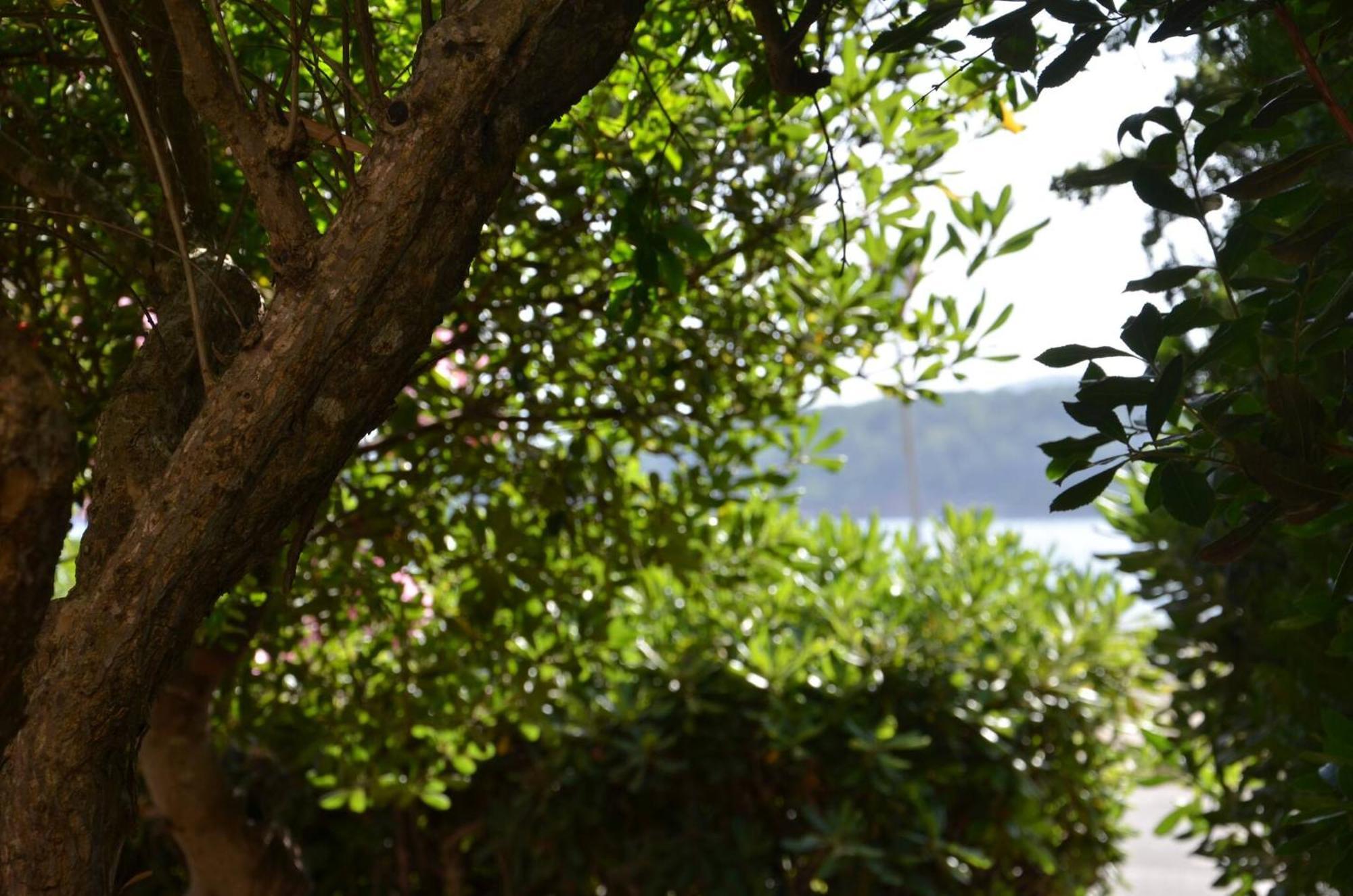 Fantastic Sardinia Villette Con Giardino Fronte Mare Fertilia Faho-Gav01-Gav02 エクステリア 写真