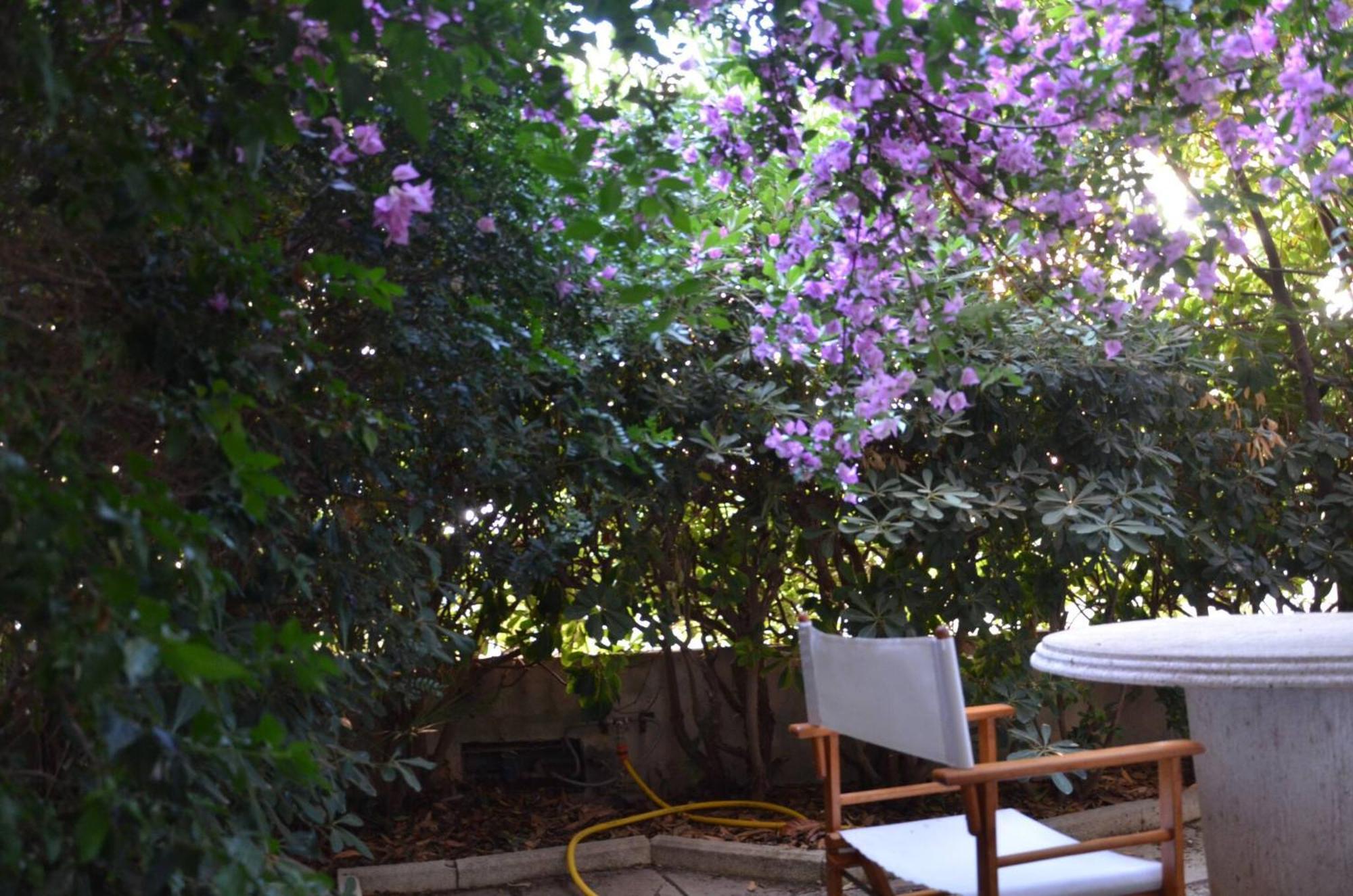 Fantastic Sardinia Villette Con Giardino Fronte Mare Fertilia Faho-Gav01-Gav02 エクステリア 写真