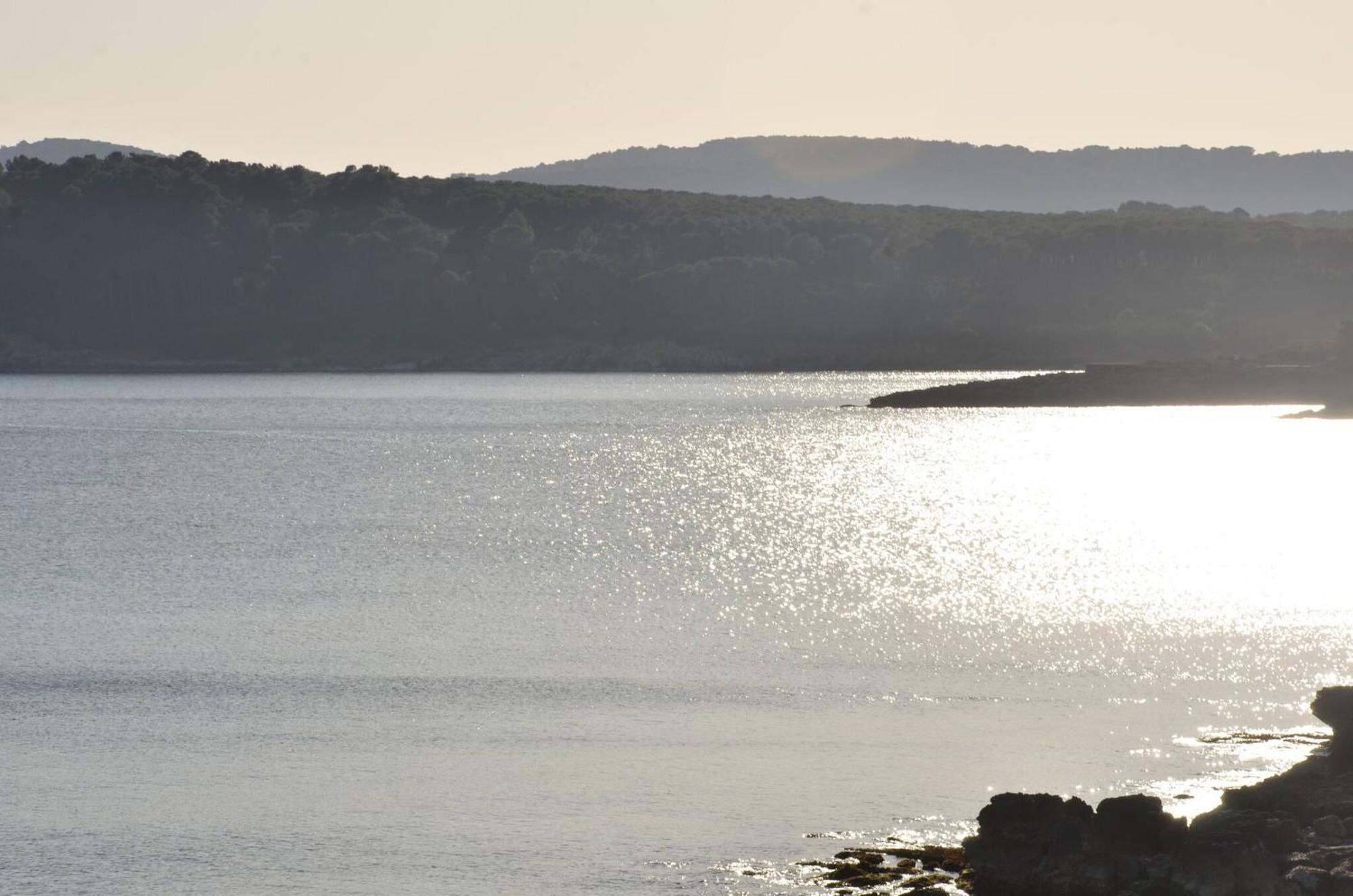 Fantastic Sardinia Villette Con Giardino Fronte Mare Fertilia Faho-Gav01-Gav02 エクステリア 写真