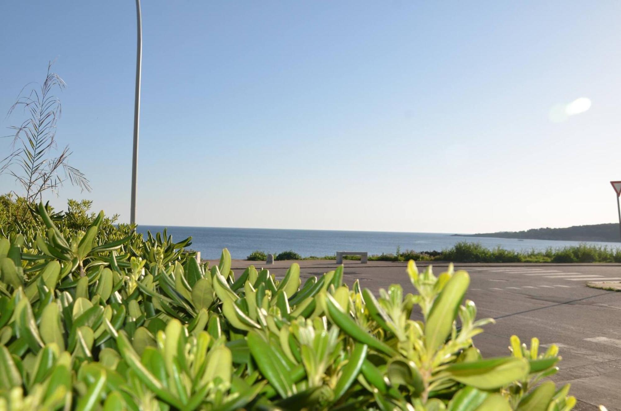 Fantastic Sardinia Villette Con Giardino Fronte Mare Fertilia Faho-Gav01-Gav02 エクステリア 写真