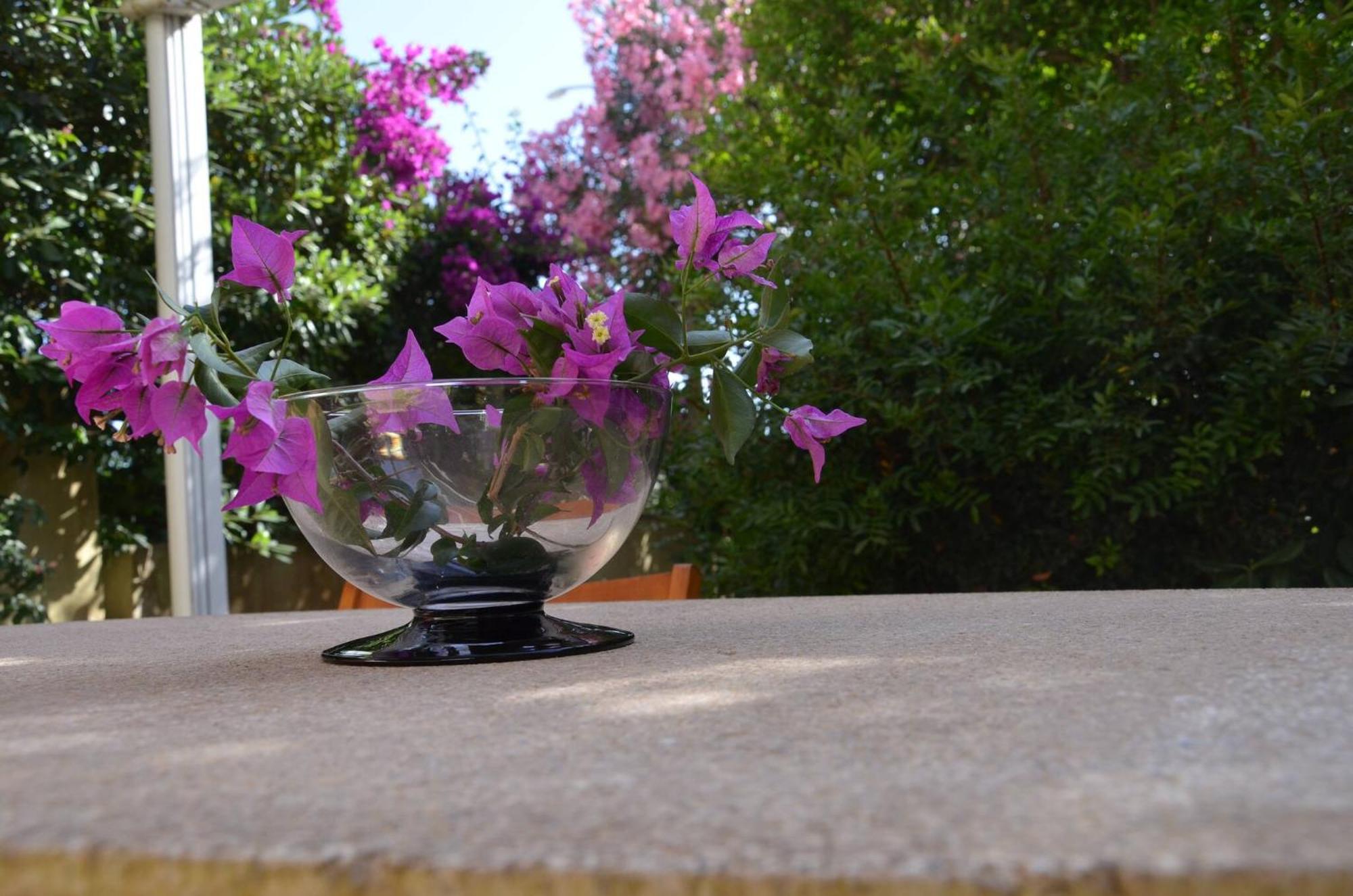 Fantastic Sardinia Villette Con Giardino Fronte Mare Fertilia Faho-Gav01-Gav02 エクステリア 写真