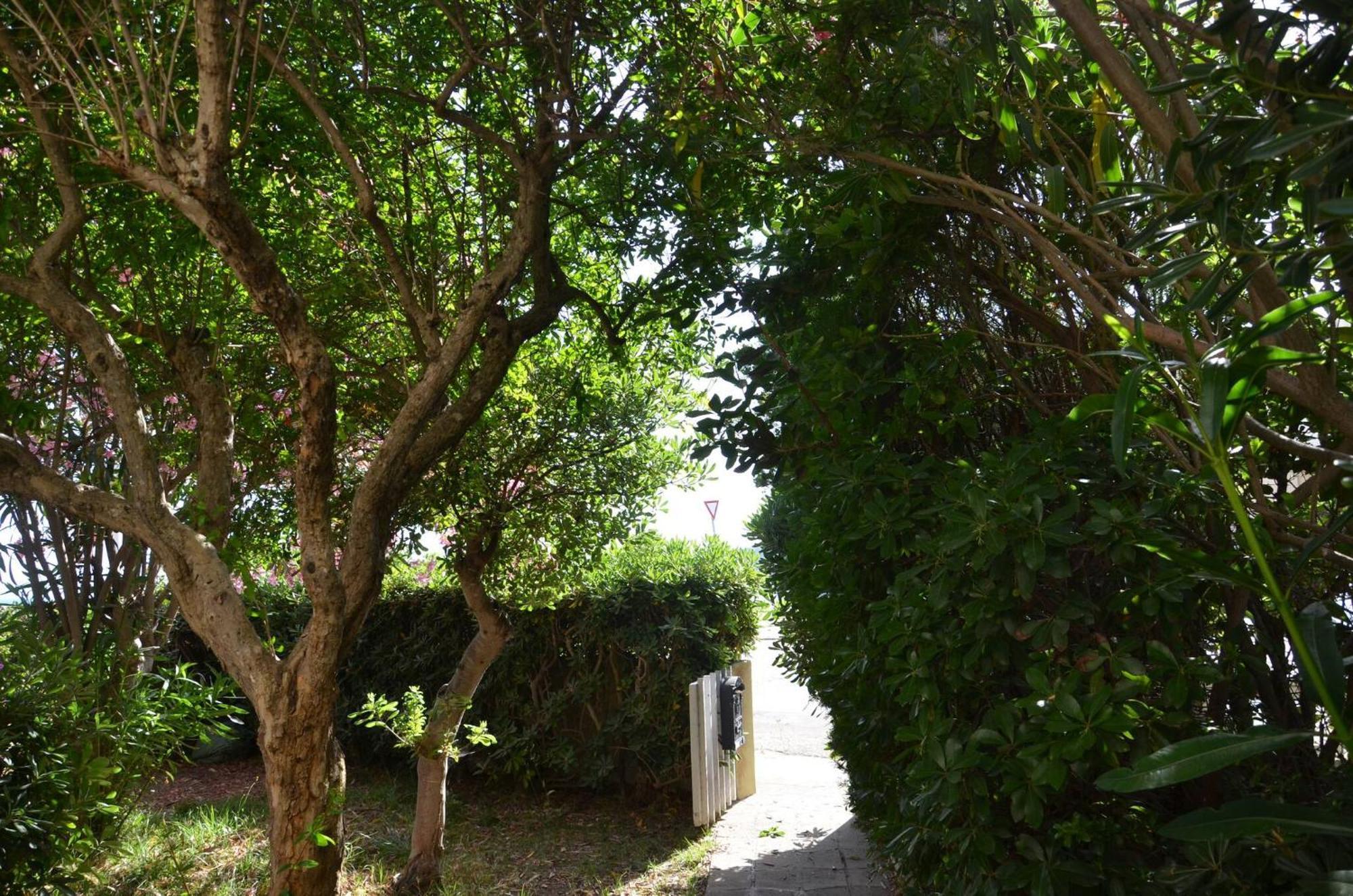 Fantastic Sardinia Villette Con Giardino Fronte Mare Fertilia Faho-Gav01-Gav02 エクステリア 写真