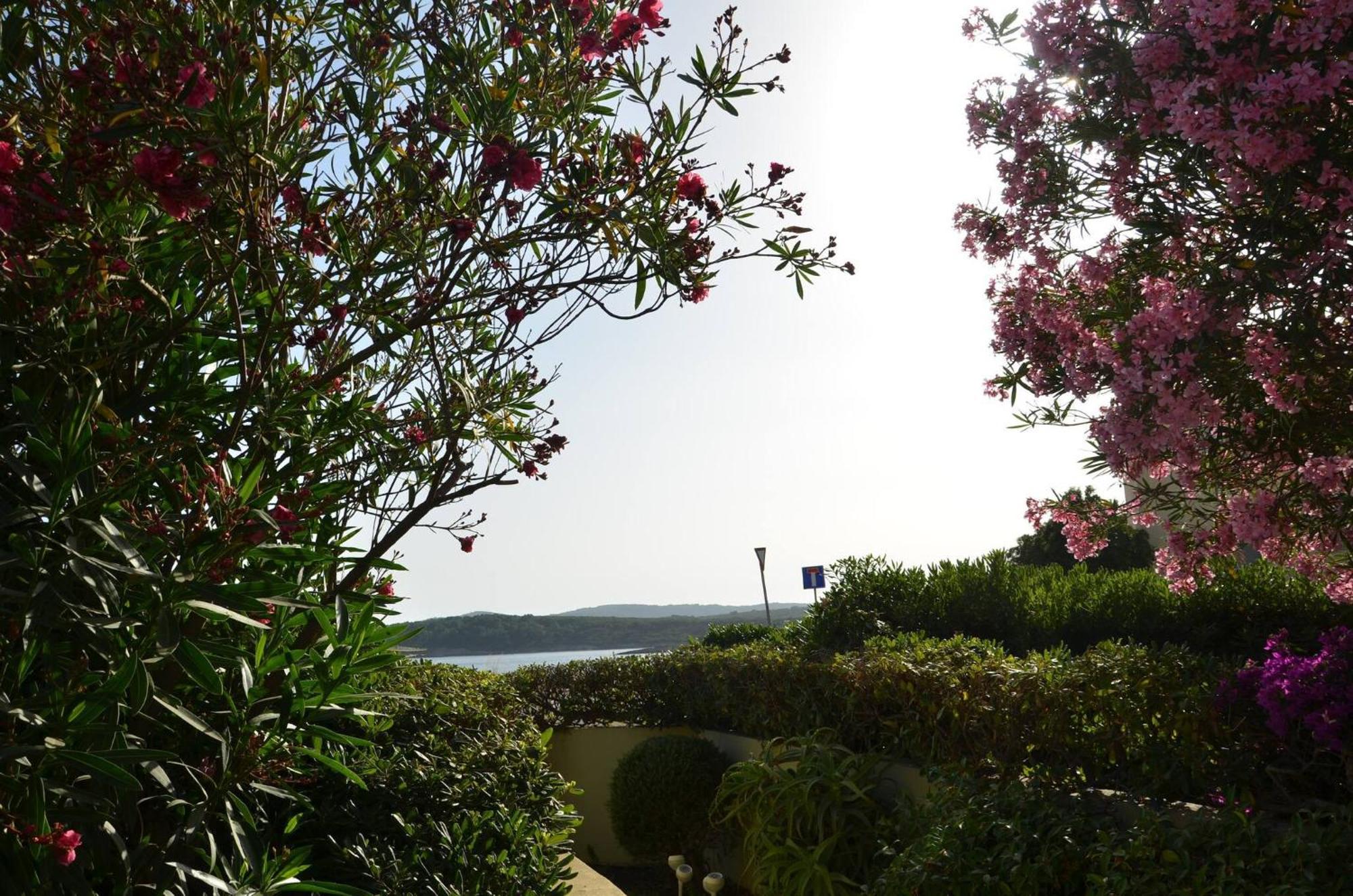 Fantastic Sardinia Villette Con Giardino Fronte Mare Fertilia Faho-Gav01-Gav02 エクステリア 写真