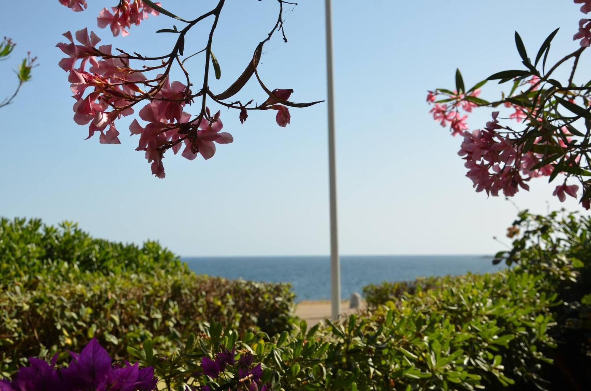 Fantastic Sardinia Villette Con Giardino Fronte Mare Fertilia Faho-Gav01-Gav02 エクステリア 写真