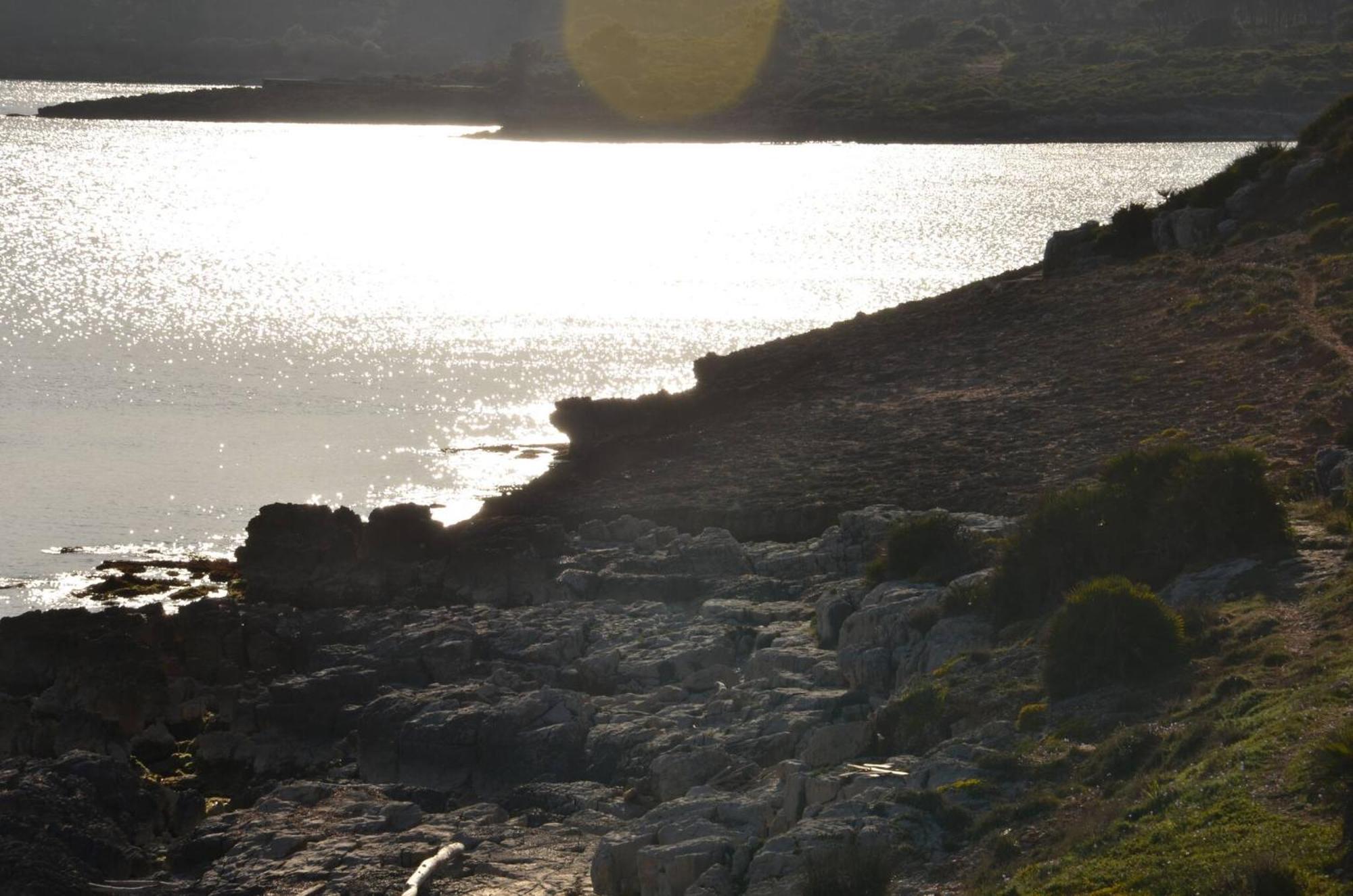 Fantastic Sardinia Villette Con Giardino Fronte Mare Fertilia Faho-Gav01-Gav02 エクステリア 写真